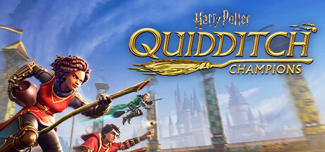 Harry Potter Quidditch Champions