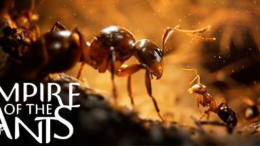 Empire of the Ants